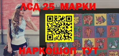 индика Камышлов