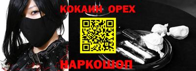индика Камышлов