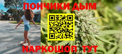 индика Камышлов