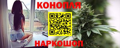 индика Камышлов