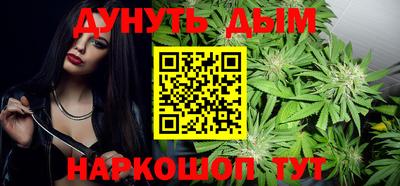 индика Камышлов