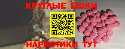 индика Камышлов