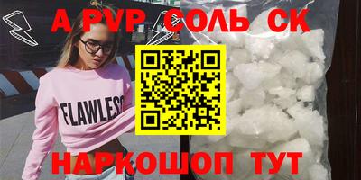 индика Камышлов