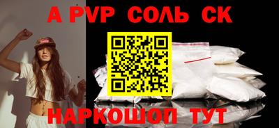 индика Камышлов