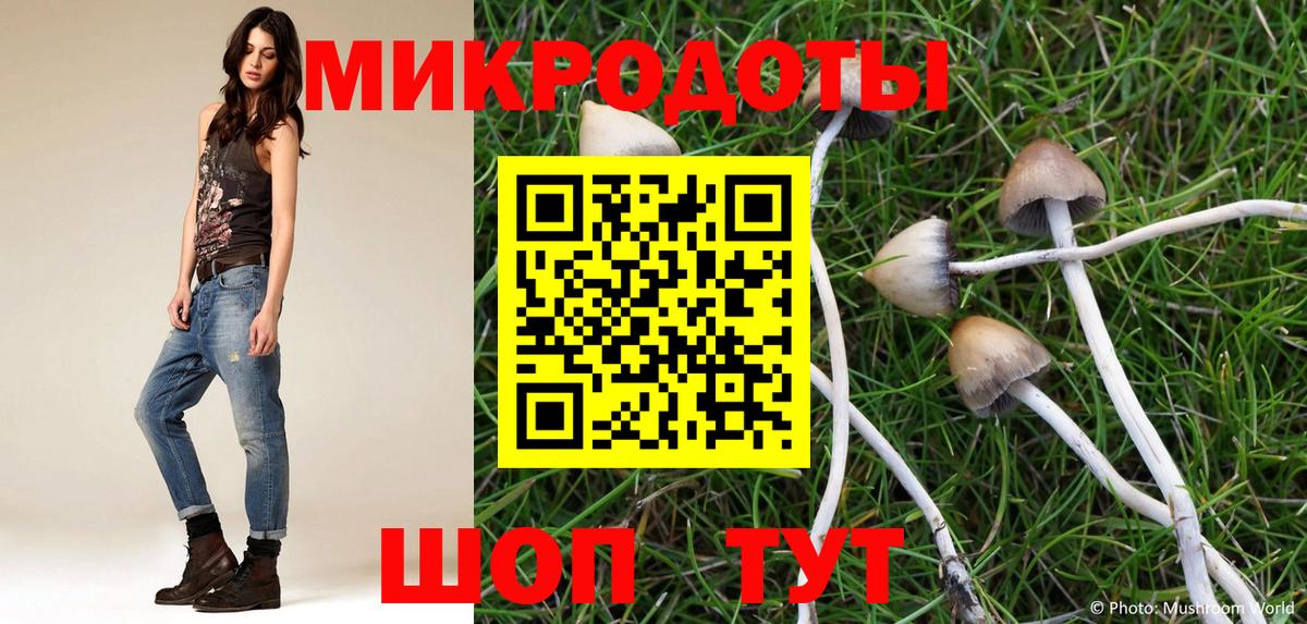 Галлюциногенные грибы Psilocybine cubensis Кумертау